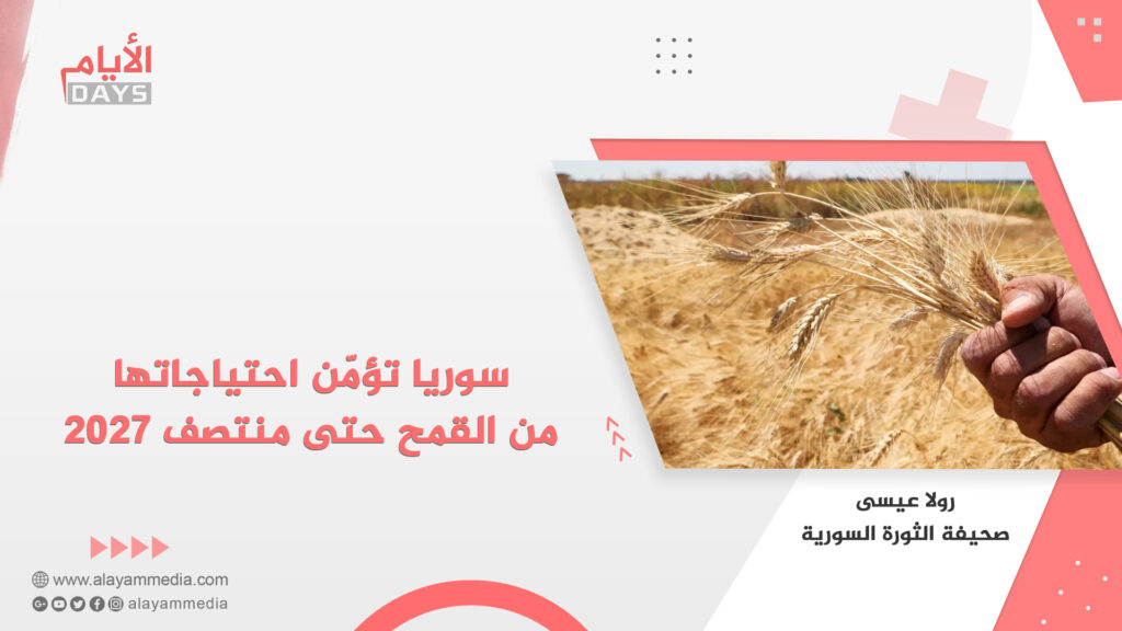 سوريا تؤمّن احتياجاتها من القمح حتى منتصف 2027